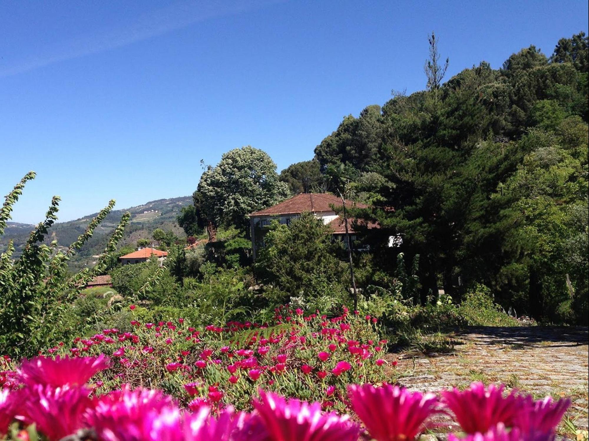 Arsdurium Douro Hotel Cinfaes Bilik gambar