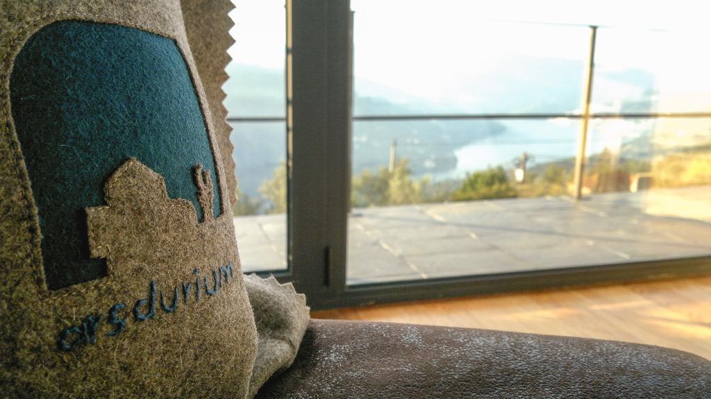 Arsdurium Douro Hotel Cinfaes Bilik gambar