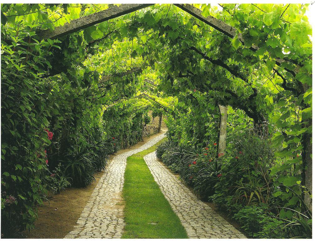 Arsdurium Douro Hotel Cinfaes Luaran gambar
